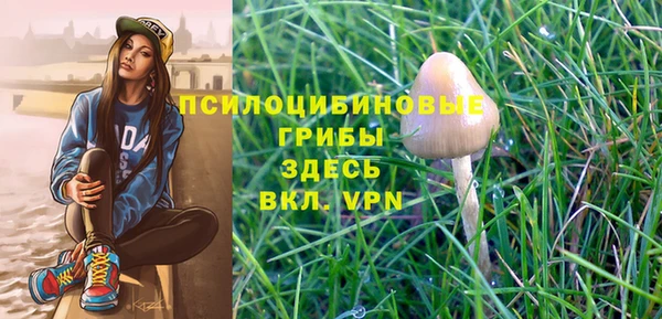 спиды Аркадак