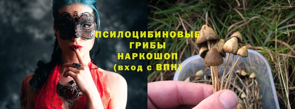 дживик Арсеньев