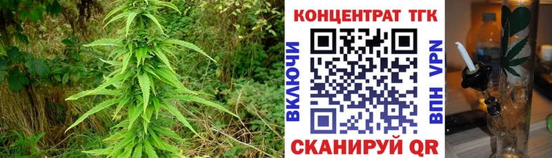 ТГК гашишное масло  Купить где  Малгобек 